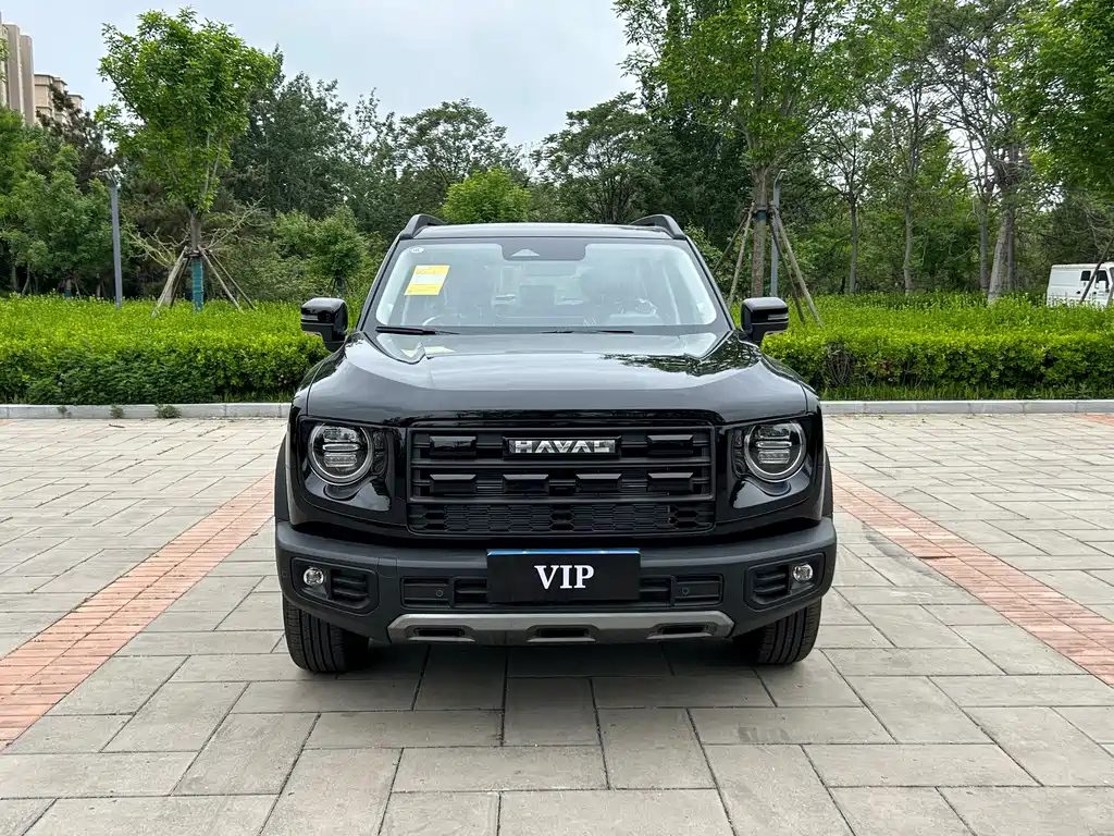 HAVAL DAGOU 2026 1.5T DCT边牧 EDITION — фото 2