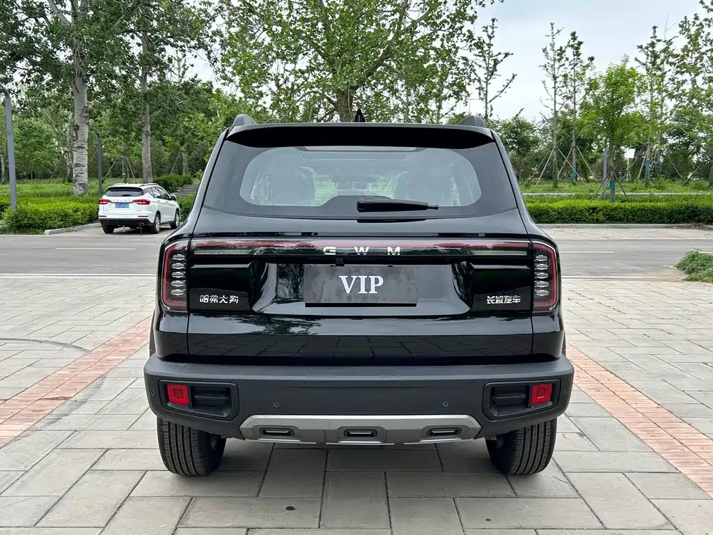 HAVAL DAGOU 2026 1.5T DCT边牧 EDITION — фото 16