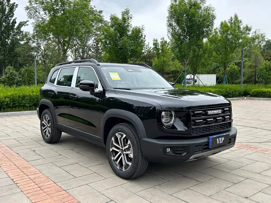 HAVAL DAGOU 2026 1.5T DCT边牧 EDITION — фото 3
