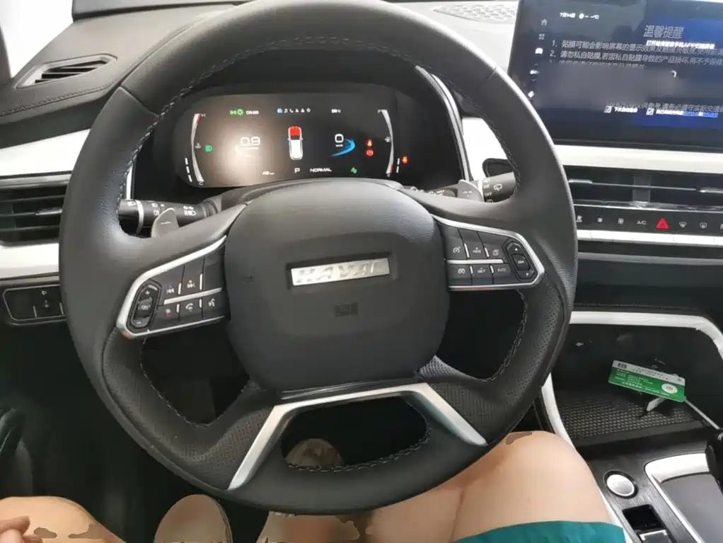 HAVAL H6 2025 1.5T 国潮冠军 EDITION — фото 11
