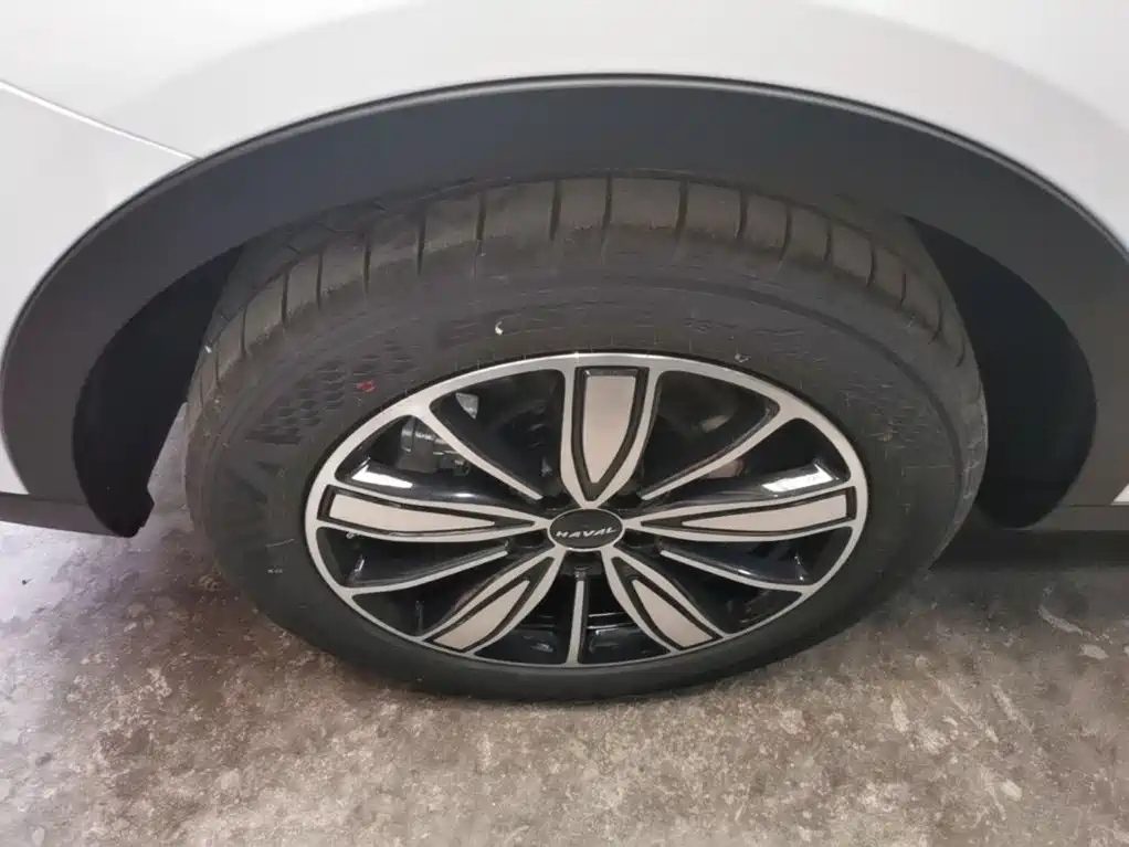 HAVAL H6 2025 1.5T 国潮冠军 EDITION — фото 23