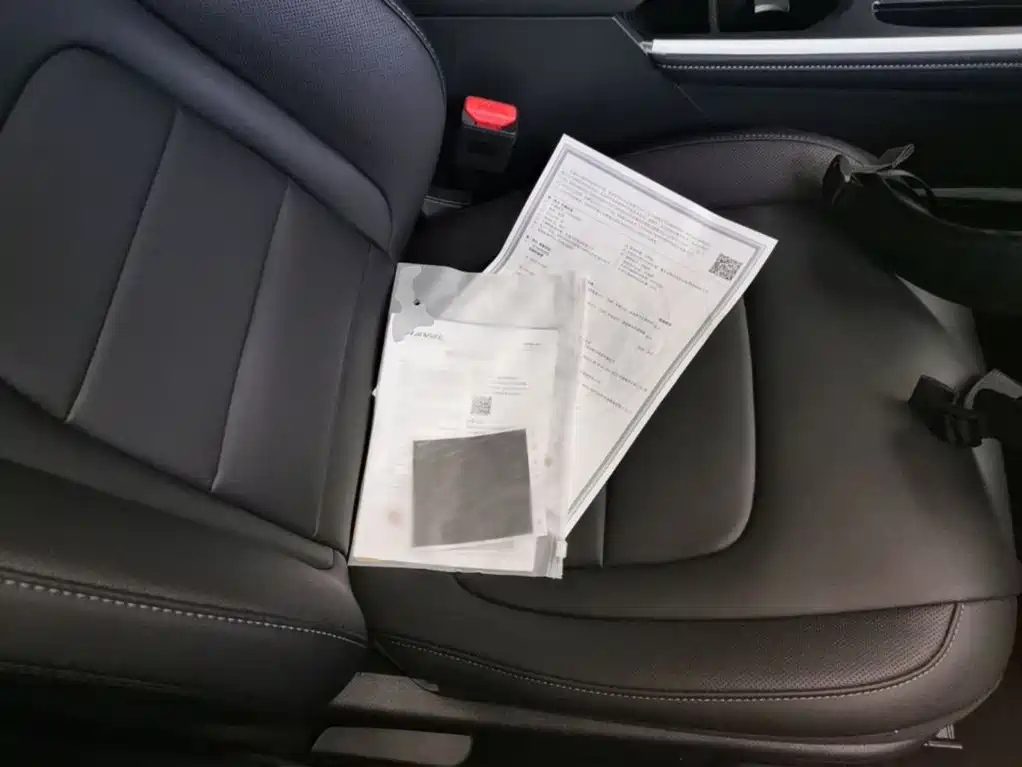 HAVAL H6 2025 1.5T 国潮冠军 EDITION — фото 25